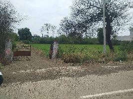  Agricultural Land for Sale in Saliwada, Jabalpur