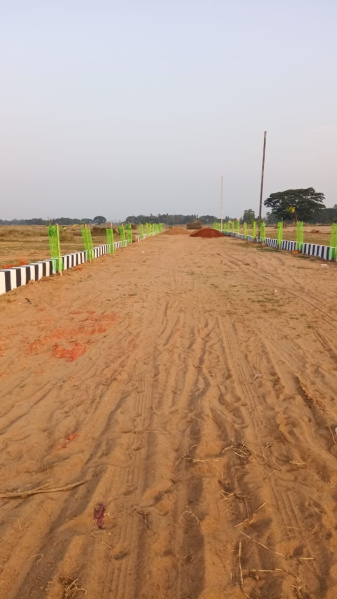1200 Sq.ft. Residential Plot for Sale in Nakhara, Bhubaneswar