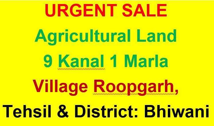  Agricultural Land 49277 Sq.ft. for Sale in Dadri, Bhiwani