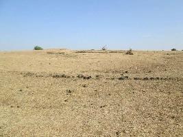  Agricultural Land for Sale in Nardana, Dhule