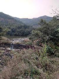  Agricultural Land for Sale in Mulshi, Pune