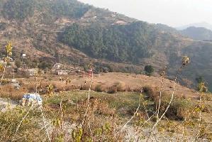  Agricultural Land for Sale in Khanyara Road, Dharamsala