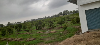  Residential Plot for Sale in Tellapur, Hyderabad