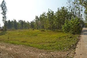  Residential Plot for Sale in Basal, Una
