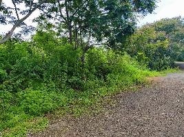  Agricultural Land for Sale in Khanapur, Pune