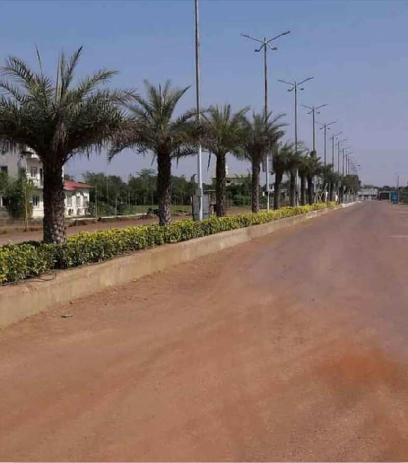  1000 Sq.ft. Residential Plot for Sale in Old Dhamtari Road, Raipur