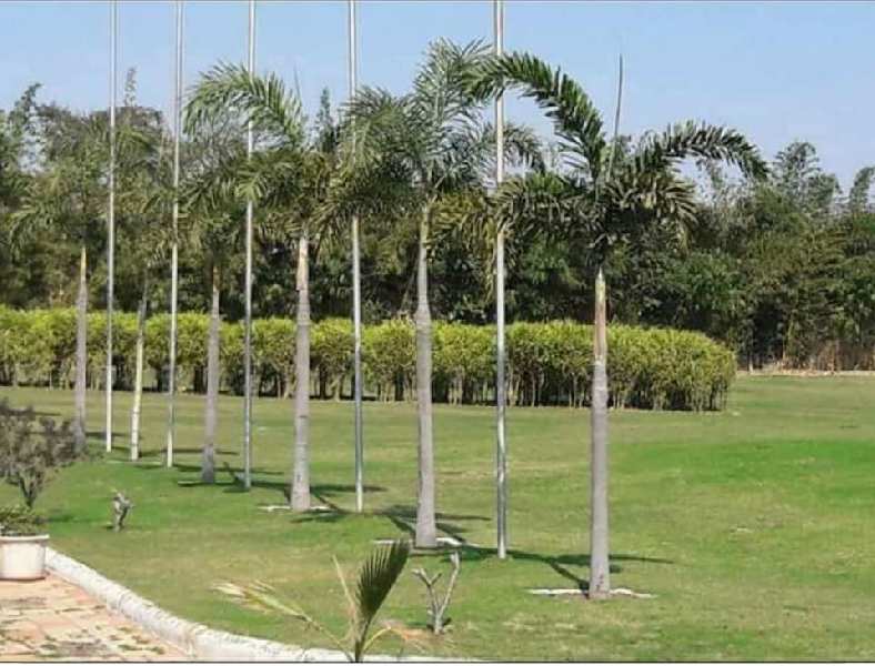  1000 Sq.ft. Residential Plot for Sale in Old Dhamtari Road, Raipur