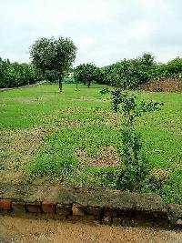  Agricultural Land for Sale in Badshahpur, Gurgaon