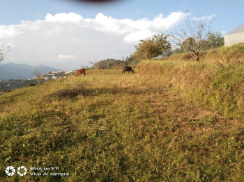  Agricultural Land for Sale in Chamba, Tehri Garhwal