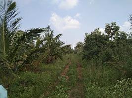  Agricultural Land for Sale in Hosayellapur, Dharwad