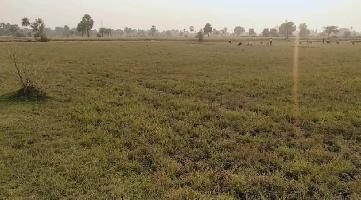  Agricultural Land for Sale in Rafiganj, Aurangabad