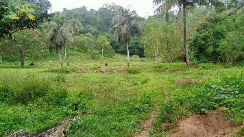  Agricultural Land for Sale in Mayabunder, Andaman