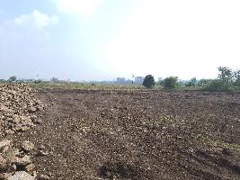  Agricultural Land for Sale in Trimbak, Nashik