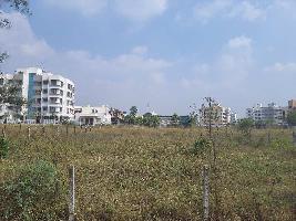  Agricultural Land for Sale in Makhmalabad, Nashik