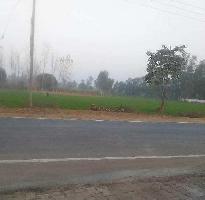  Agricultural Land for Sale in Mitra Nagar, Allahabad