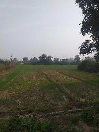  Agricultural Land for Sale in Brijghat, Moradabad