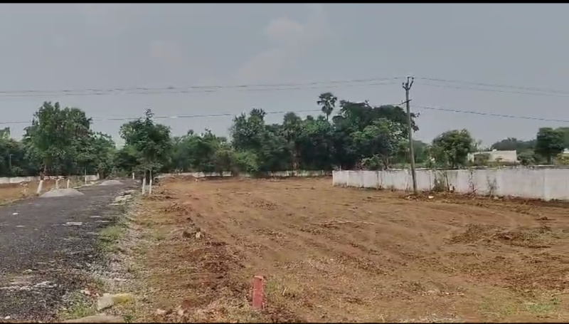  Residential Plot 183 Sq. Yards for Sale in Tadikonda, Guntur