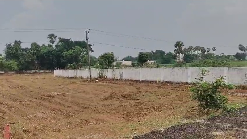  Residential Plot 183 Sq. Yards for Sale in Tadikonda, Guntur