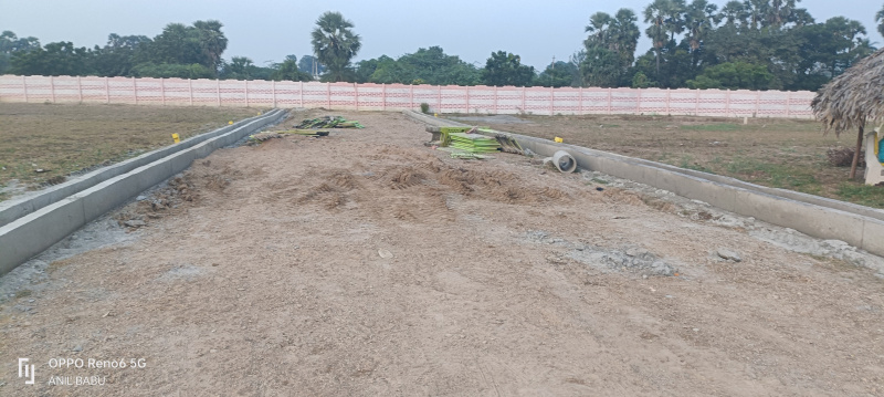  Residential Plot 167 Sq. Yards for Sale in Pothuru, Guntur