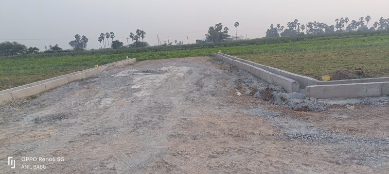  Residential Plot 167 Sq. Yards for Sale in Pothuru, Guntur