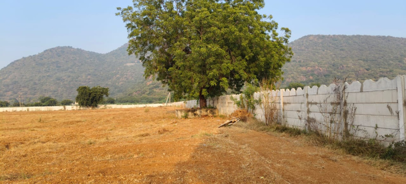  Residential Plot 200 Sq. Yards for Sale in Narasaraopet, Guntur