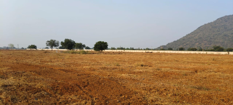  Residential Plot 200 Sq. Yards for Sale in Narasaraopet, Guntur