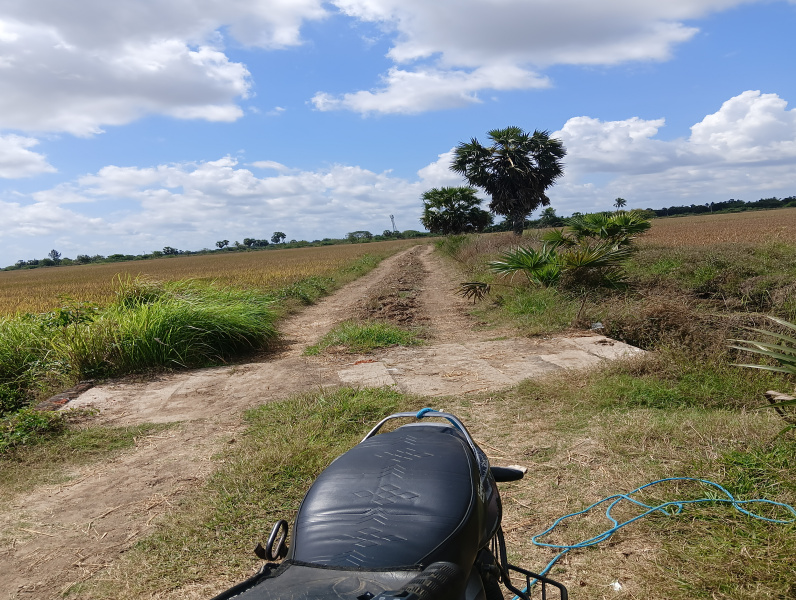  58900 Sq.ft. Agricultural/Farm Land for Sale in Velankanni, Nagapattinam