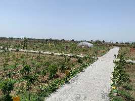  Agricultural Land for Sale in Kothur, Rangareddy
