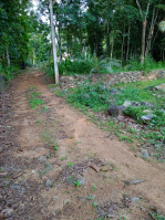  Residential Plot for Sale in Kuravilangad, Kottayam