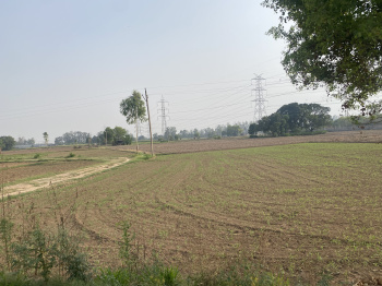  Agricultural Land for Sale in Banur, Mohali