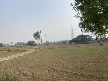  Agricultural Land for Sale in Mullanpur Garibdass, Mohali