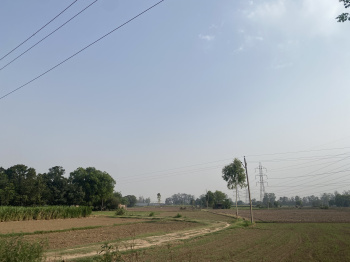  Agricultural Land for Sale in Industrial Area Phase I, Chandigarh