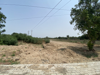  Agricultural Land for Sale in Sector 43 Noida