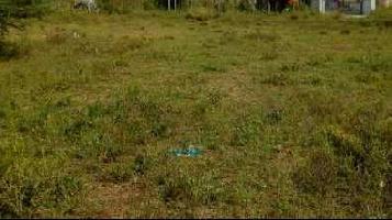  Commercial Land for Sale in Mohania, Kaimur