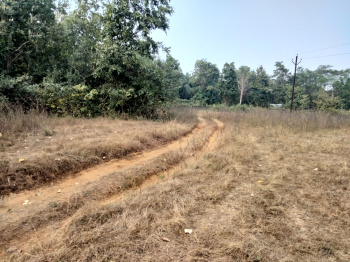  Agricultural Land for Sale in Murbad MIDC, Thane