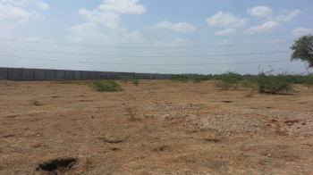  Industrial Land for Sale in Bavla, Ahmedabad