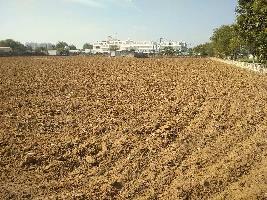  Agricultural Land for Rent in Bhankrota, Jaipur