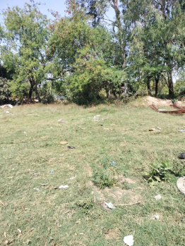 Residential Plot for Sale in Sector 23 Panchkula