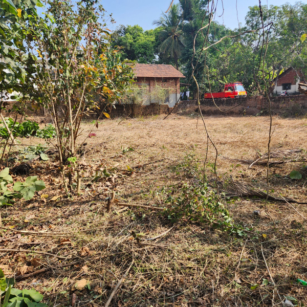  Commercial Land 15 Cent for Rent in Thottada, Kannur
