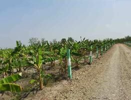  Agricultural Land for Sale in Uthramerur, Chennai