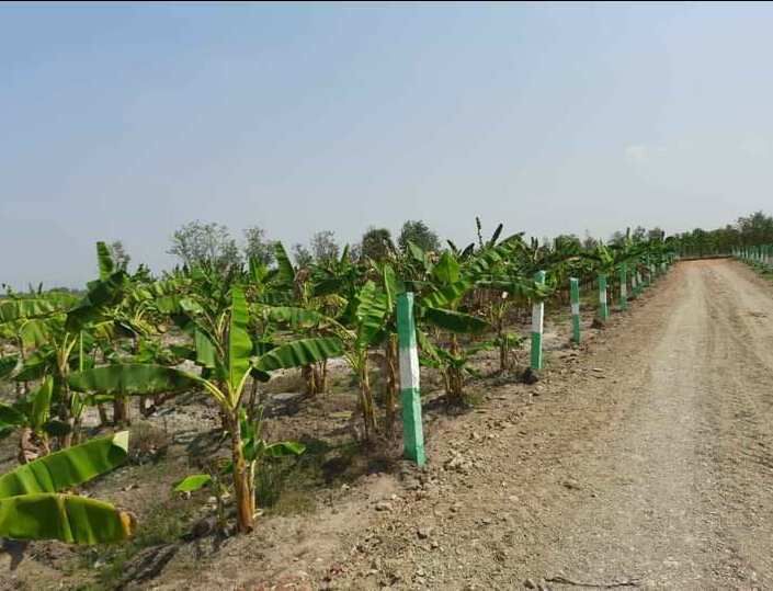  Agricultural Land 10000 Sq.ft. for Sale in Uthramerur, Chennai