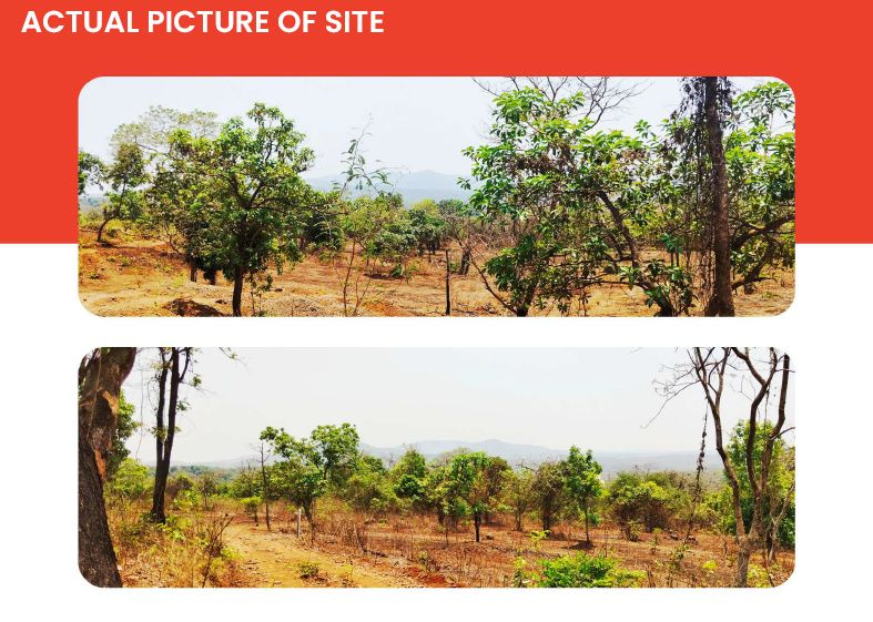  Agricultural Land 28 Sq.ft. for Sale in Mangaon, Raigad