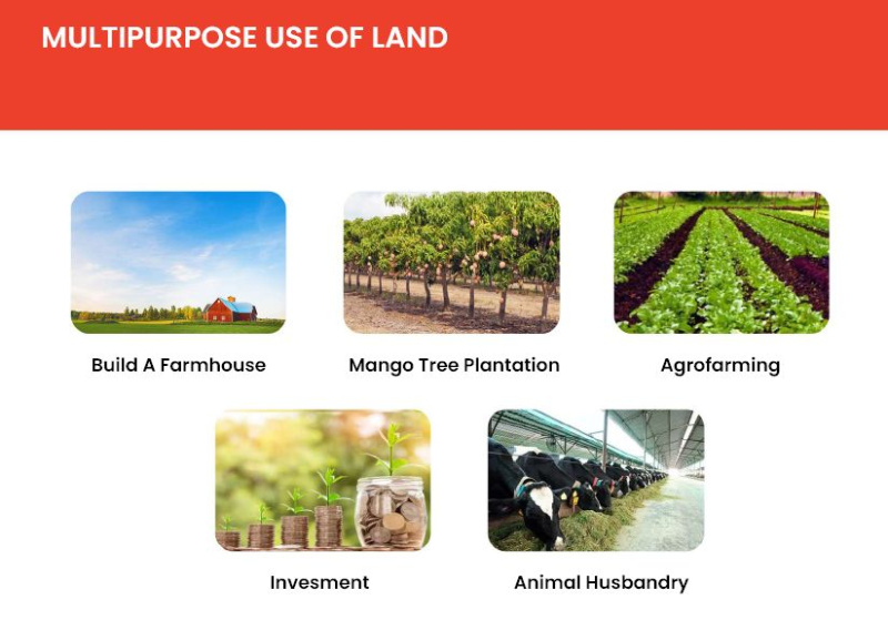  Agricultural Land 28 Sq.ft. for Sale in Mangaon, Raigad