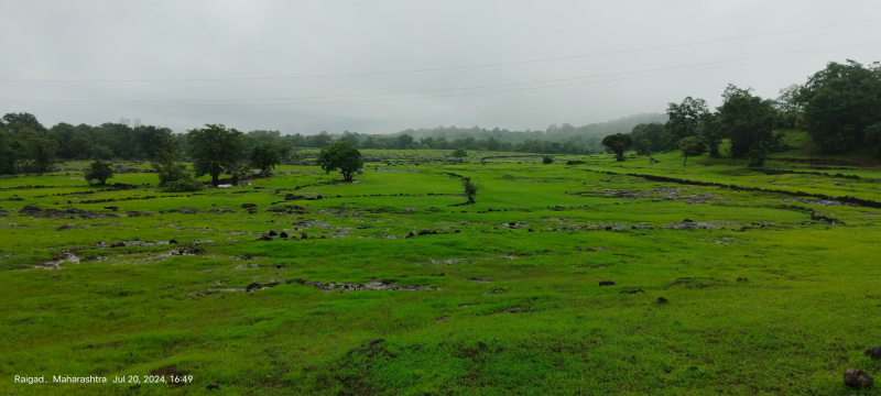  Agricultural Land 400 Acre for Sale in Mahad, Raigad