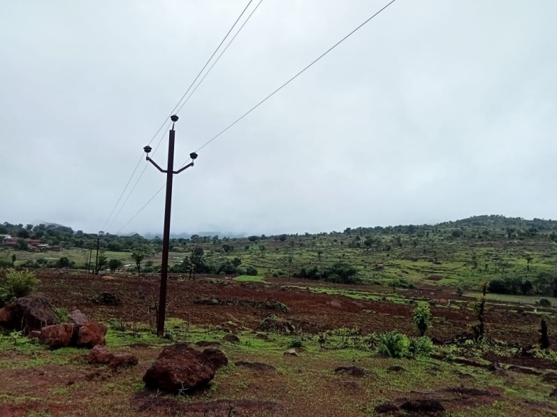  Agricultural Land 27 Acre for Sale in Pali, Raigad