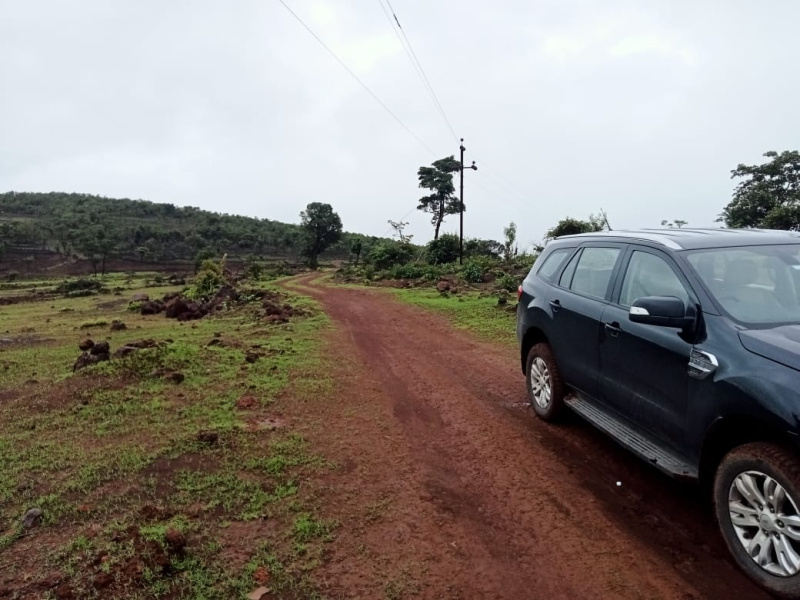  Agricultural Land 27 Acre for Sale in Pali, Raigad