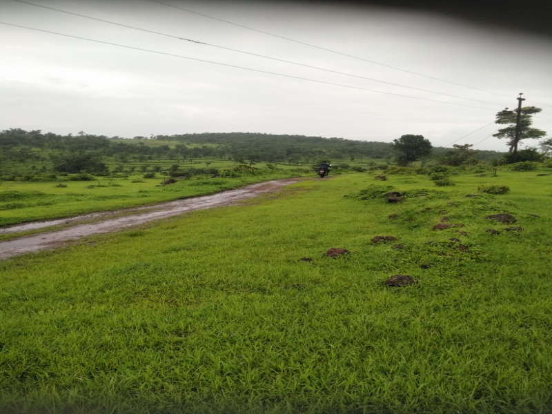  Agricultural Land 27 Acre for Sale in Pali, Raigad