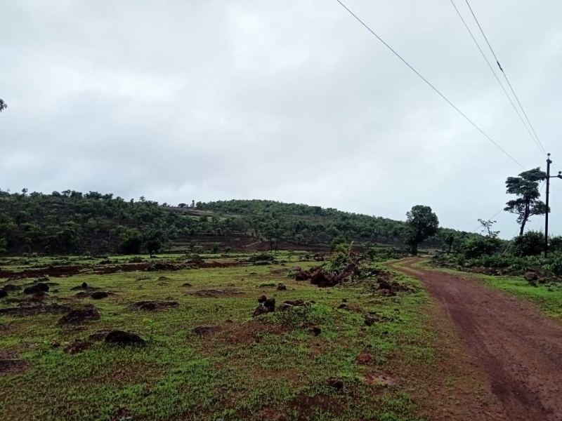  Agricultural Land 27 Acre for Sale in Pali, Raigad