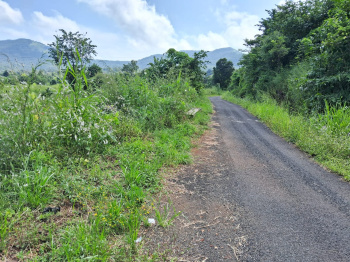  Agricultural Land for Sale in Poladpur, Raigad