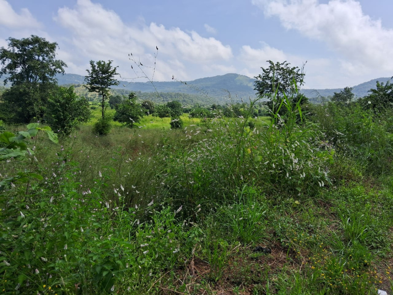  Agricultural Land 5 Acre for Sale in Poladpur, Raigad